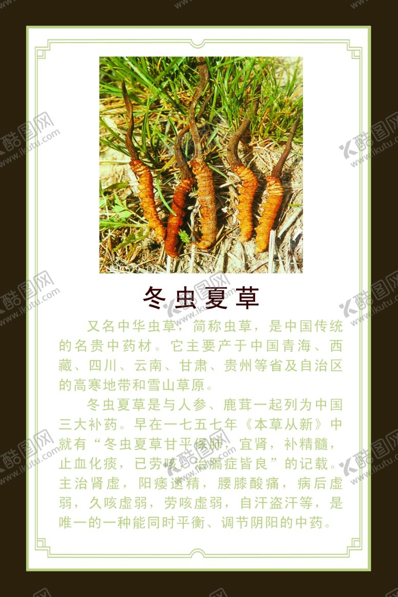 编号：41448204200659102351【酷图网】源文件下载-冬虫夏草介绍