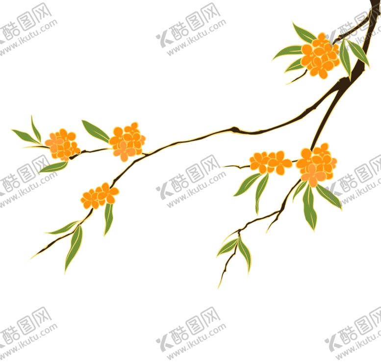 编号：70421501250643147687【酷图网】源文件下载-桂花插画
