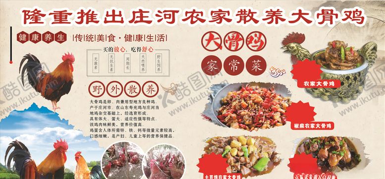 编号：80598907052025503897【酷图网】源文件下载-大骨鸡宣传板