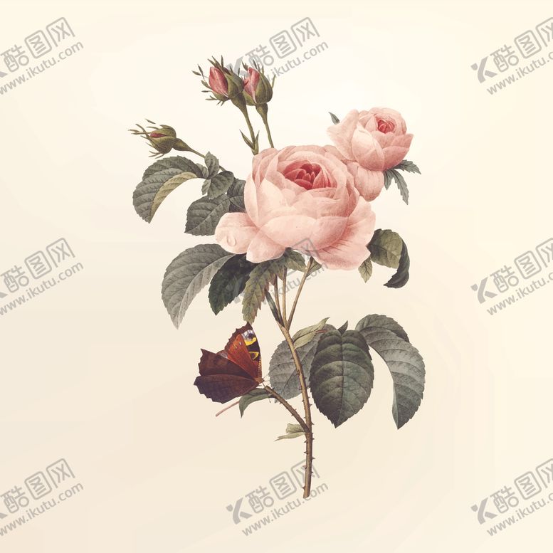 编号：13526209271300029847【酷图网】源文件下载-花卉