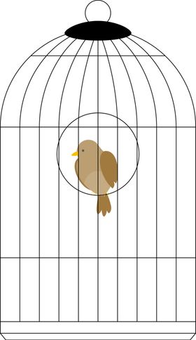 鸟笼子