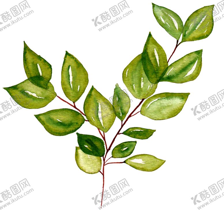 编号：95639305140220378533【酷图网】源文件下载-水彩植物