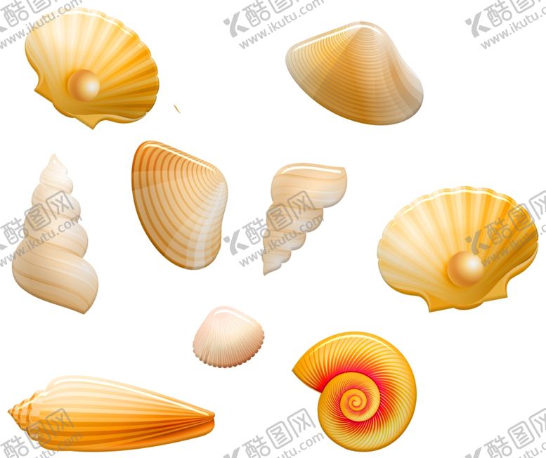 编号：19982309231120481399【酷图网】源文件下载-海螺贝壳创意插图