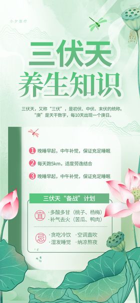 三伏天养生知识图表