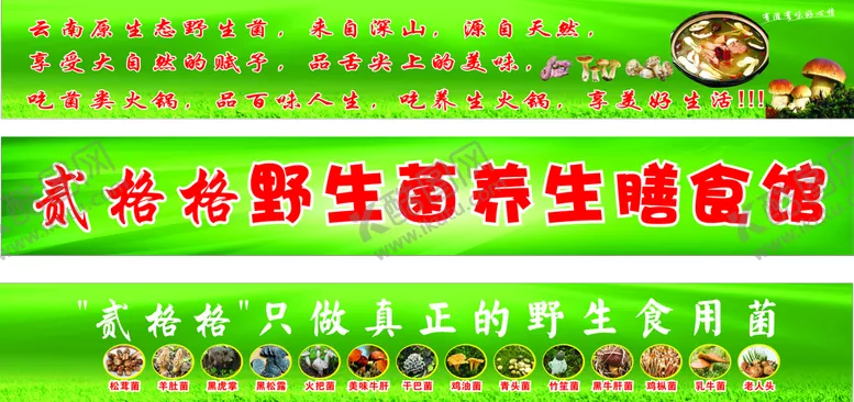 编号：81377910291350427005【酷图网】源文件下载-野生菌软膜灯箱