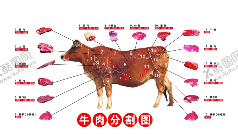 编号：24558301240047341986【酷图网】源文件下载-牛肉分割图