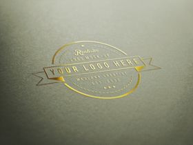 logo样机提案贴图立体商务
