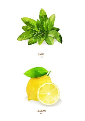 绿色蔬菜