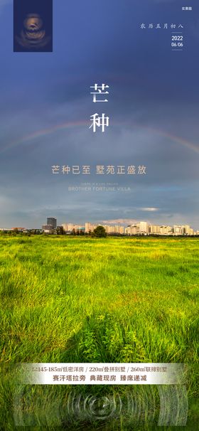 芒种节气海报二十四地产质感