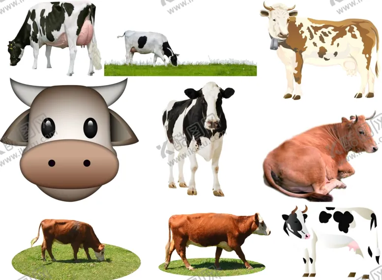 编号：13602209091535065286【酷图网】源文件下载-奶牛png免扣高清素材