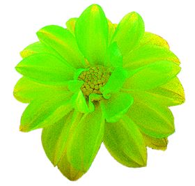 花素材鲜朵小清新朵朵底纹