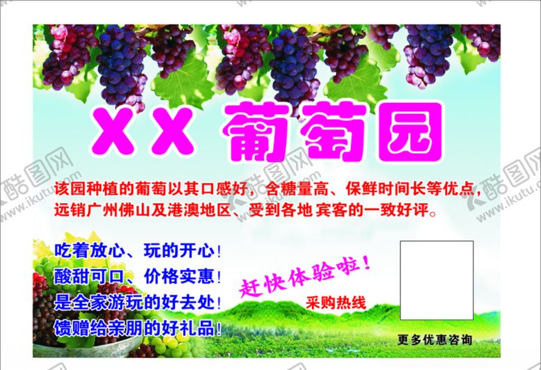 编号：81256410211139549837【酷图网】源文件下载-葡萄园