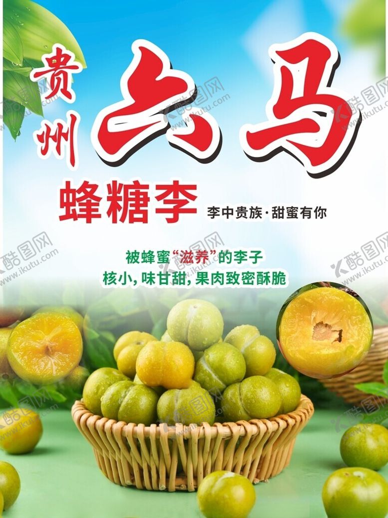 编号：84174602101716376305【酷图网】源文件下载-贵州六马蜂糖李