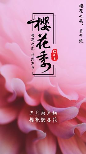 樱花季节旅行春游粉色浪漫展板