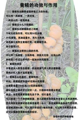 编号：83725409232231178720【酷图网】源文件下载-黄精