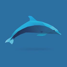 海豚