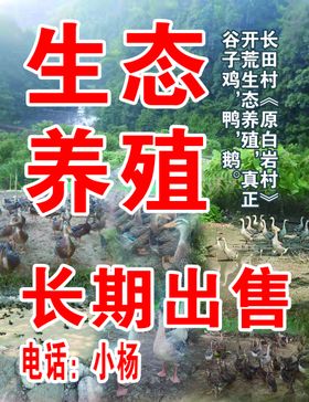 果园放养土鸡土鸭招牌