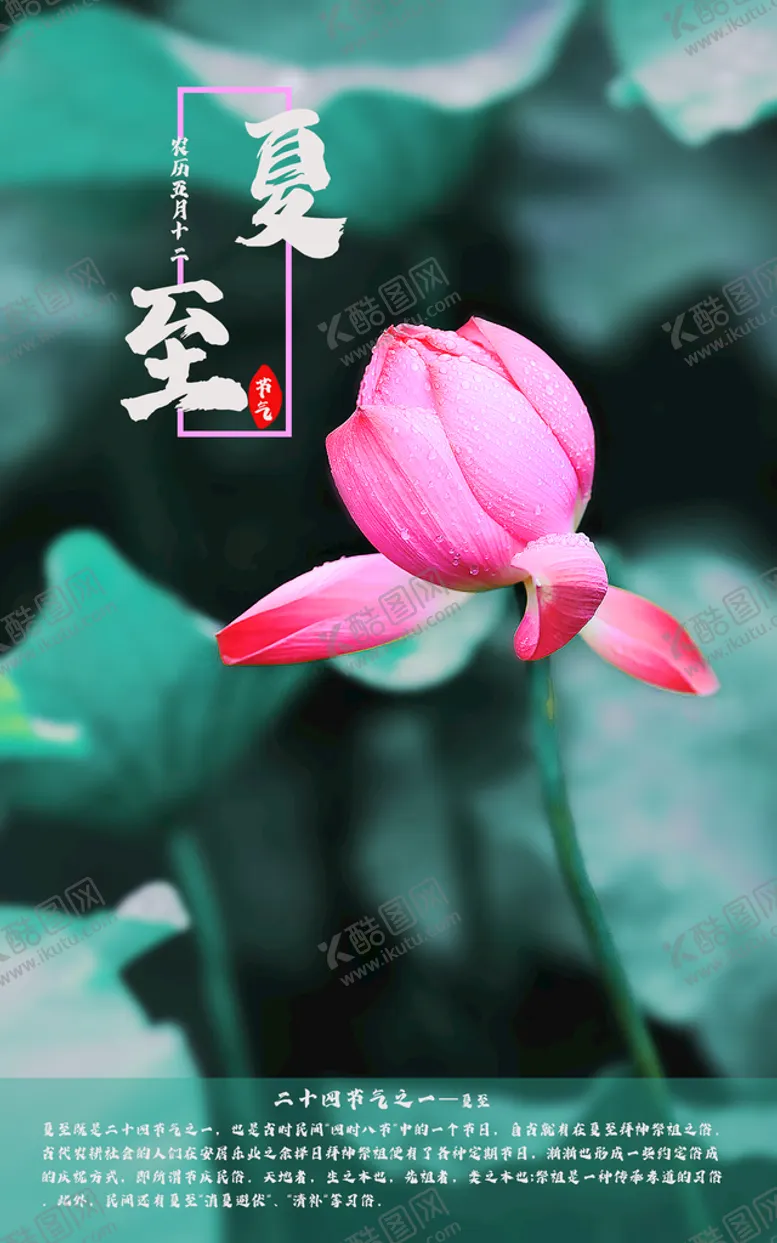 编号：03149509120159276490【酷图网】源文件下载-夏至