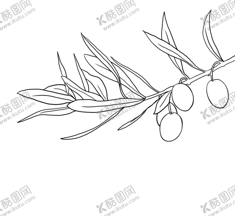 编号：18824709160444423546【酷图网】源文件下载-橄榄
