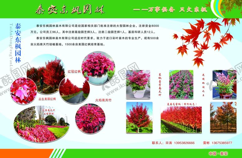 编号：56259409200306444136【酷图网】源文件下载-东枫园林