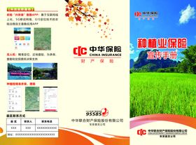 中华保险种植业