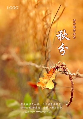 二十四节气秋分小清新高级感中国传统日素材