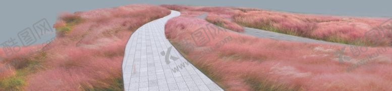 编号：90664109281917243420【酷图网】源文件下载-粉黛乱子草