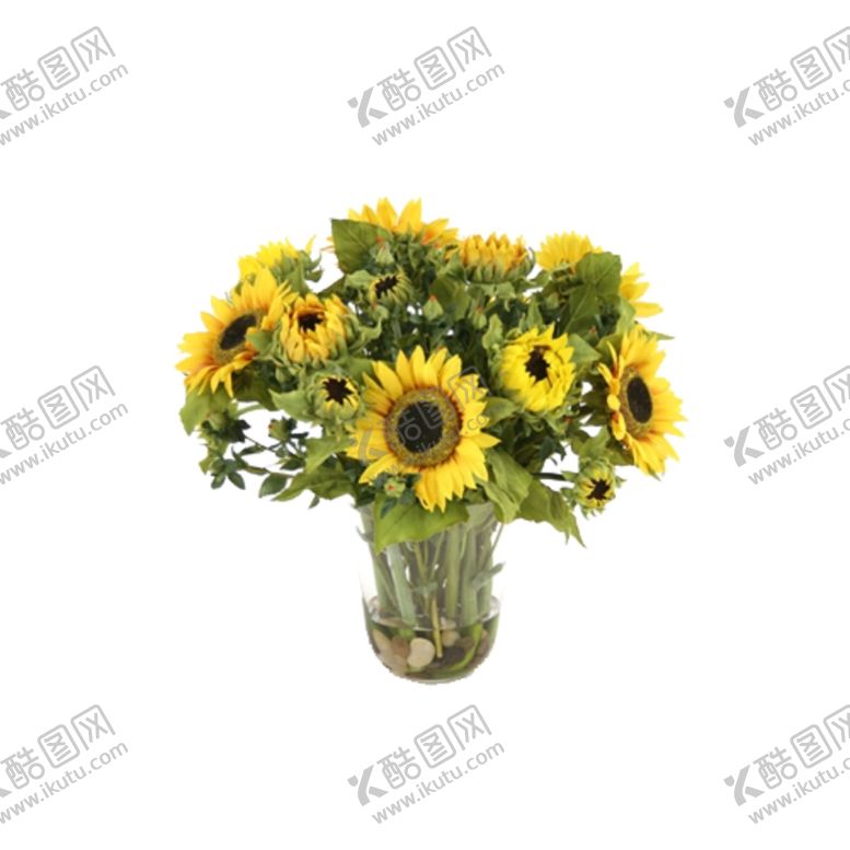 编号：68309807121051508524【酷图网】源文件下载-免抠背景花草树木