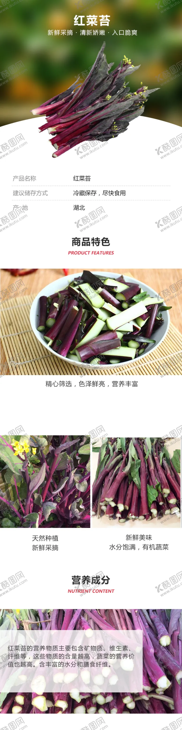 编号：60695205030226414441【酷图网】源文件下载-红菜苔详情页