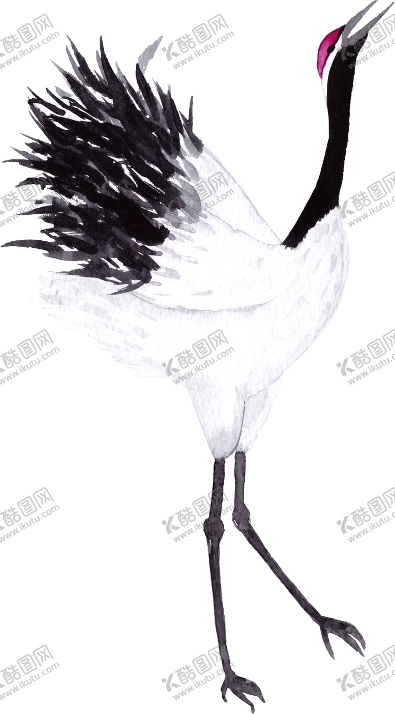 编号：56028505160047393553【酷图网】源文件下载-仙鹤元素