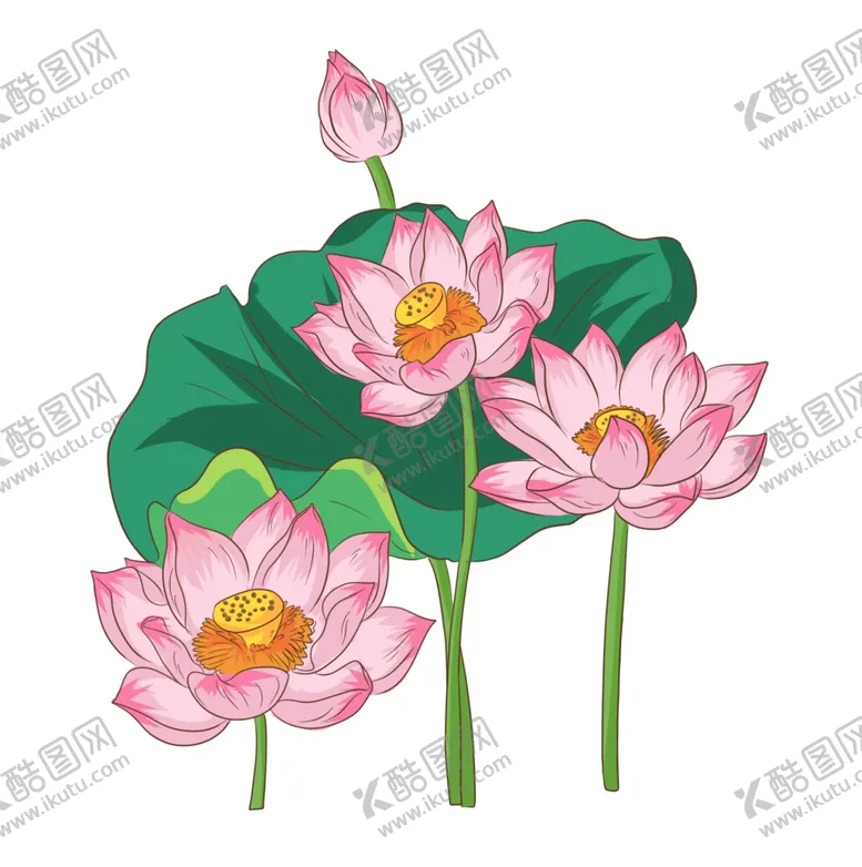 编号：40209406280045427106【酷图网】源文件下载-莲花插画
