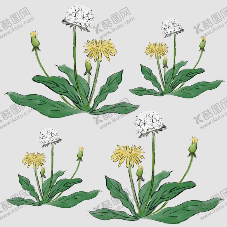 编号：28432910180817192595【酷图网】源文件下载-蒲公英
