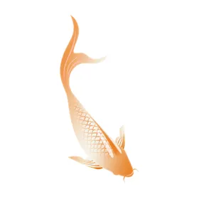 鲤鱼