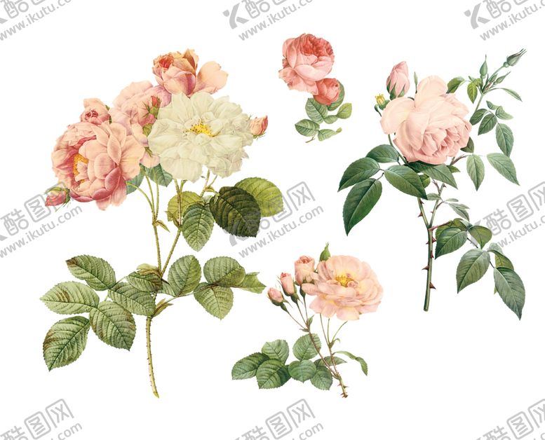 编号：87117209191345559730【酷图网】源文件下载-花朵