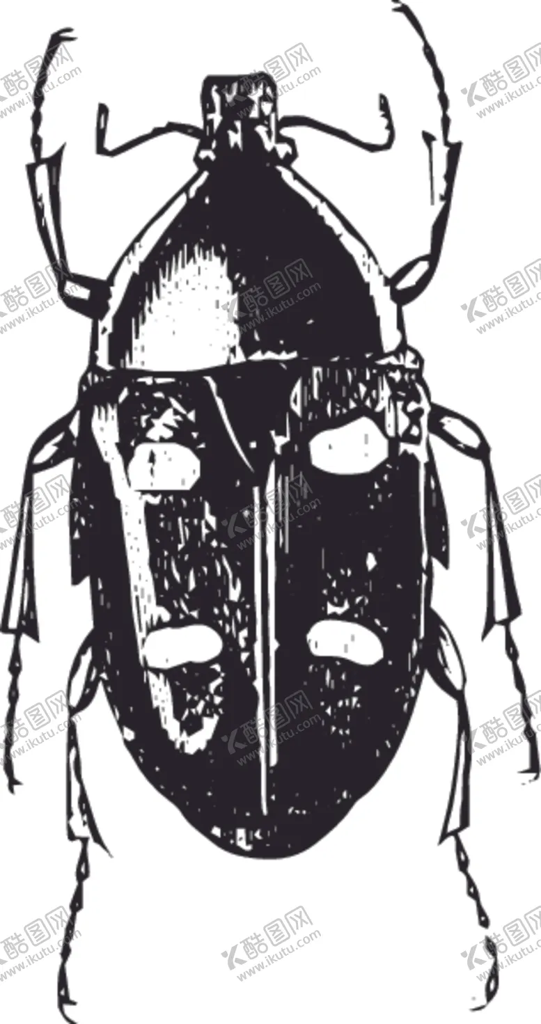 编号：43472207132043384514【酷图网】源文件下载-自然昆虫蝴蝶标本插画
