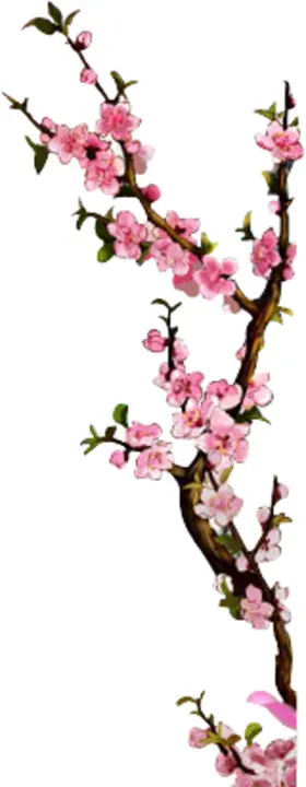水墨传统国风花朵