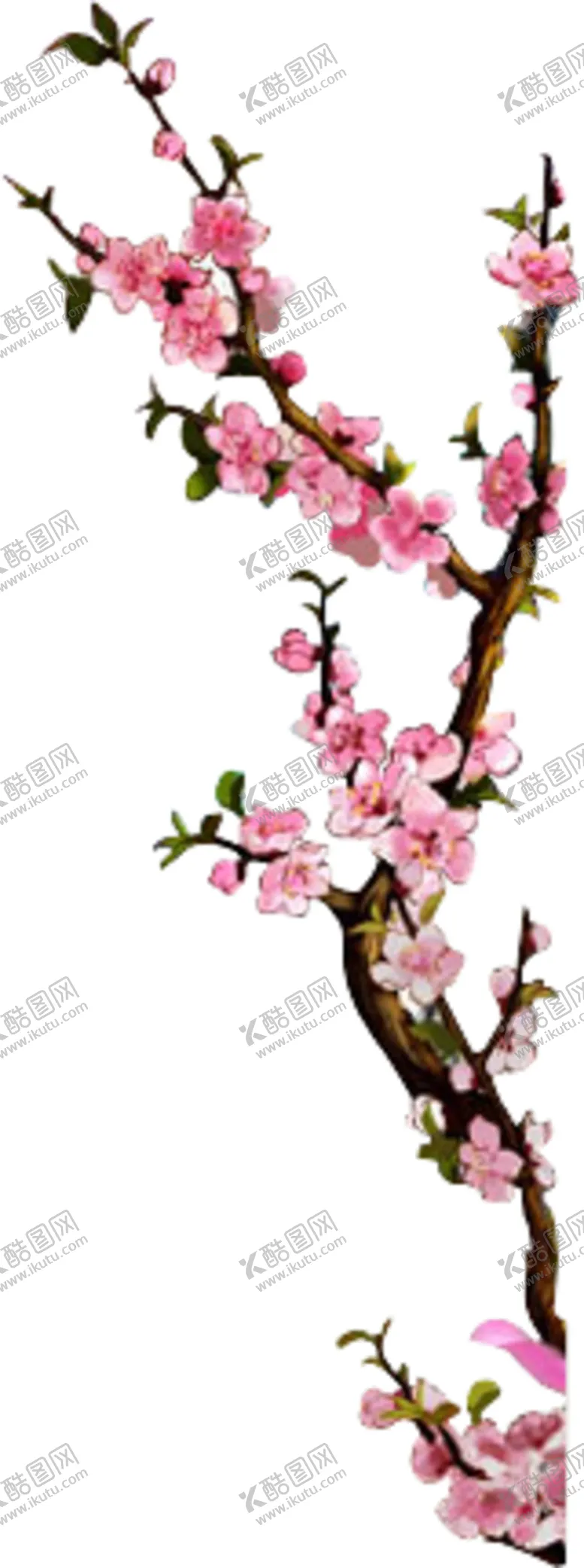 编号：43493607012315415616【酷图网】源文件下载-水墨传统国风花朵