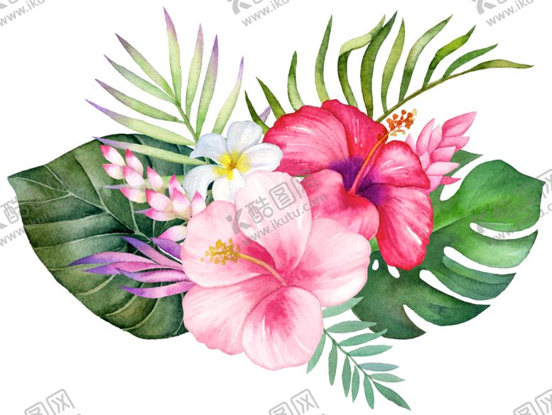 编号：81555609241301267553【酷图网】源文件下载-手绘植物花卉