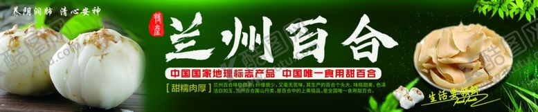 编号：67972902151747419283【酷图网】源文件下载-百合