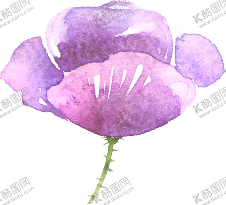 编号：27258210231115377662【酷图网】源文件下载-水彩手绘花卉花朵植物