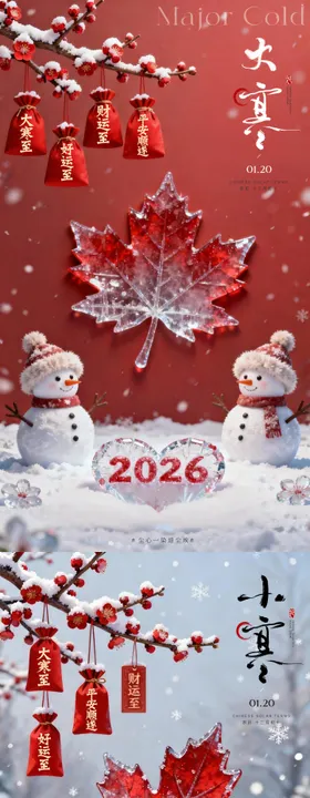 小寒大寒系列海报
