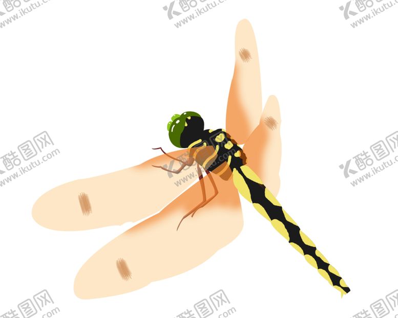 编号：27250907091213047188【酷图网】源文件下载-蜻蜓