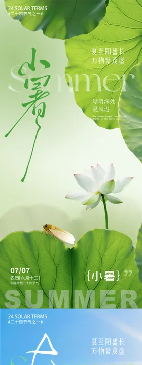 小暑大暑荷花荷叶节气海报