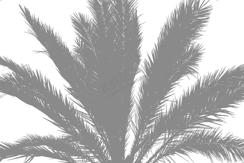 植物光影底纹花纹花边剪