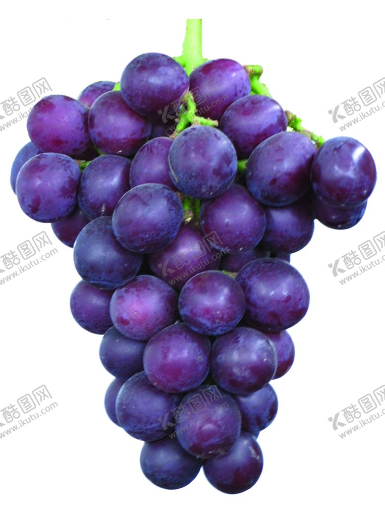 编号：18395709270252213330【酷图网】源文件下载-葡萄