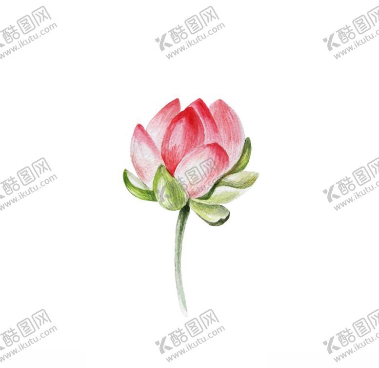 编号：31282610291551007276【酷图网】源文件下载-水墨风荷花图片