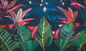 芭蕉油画