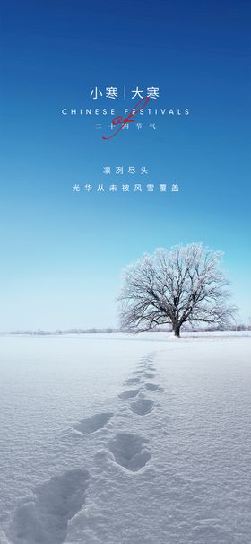 编号：26137409222328260573【酷图网】源文件下载-立冬大雪大寒小寒小雪霜降海报