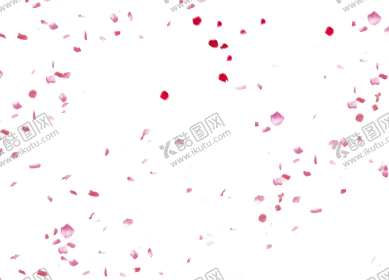 编号：55167107022248539965【酷图网】源文件下载-飘落的花瓣