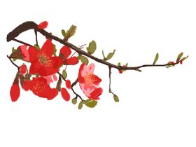 梅花素材
